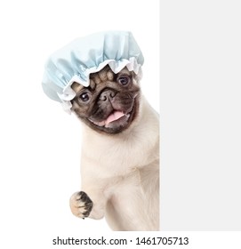 Pug Puppy With Shower Cap Behind White Banner. Isolated On White Background