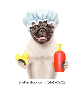 Pug Puppy With Shower Cap Holding Rubber Duck And Towel. Isolated On White Background