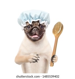 Pug Puppy With Shower Cap Holding  Bath Brush. Isolated On White Background