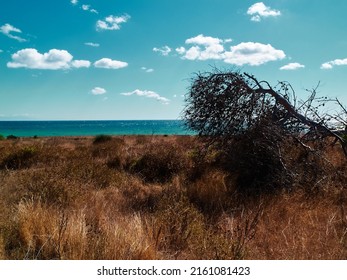 Puglia Coast In Southern Italy, Adriatic Sea Coast