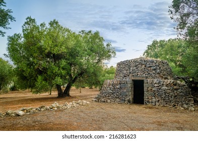 Puglia, Old Trullo And Olive Tree