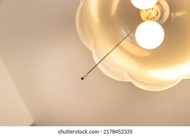 A Pull String Hanging From The Light