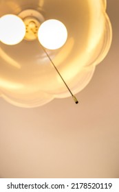 A Pull String Hanging From The Light