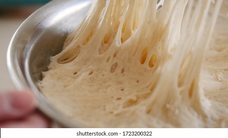 Pulling plastic wrap off risen bread dough in a metal mixing bowl. Gluten stretches showing the raw flour mixture can be formed into a loaf and baked. Making sourdough from scratch is a food trend.
