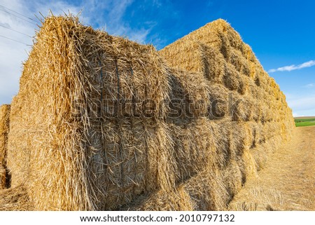 Pullman, Washington, USA. Stack of hay bales in the Palouse hills.
