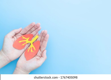 Pulmonary Disease Treatment And Lung Transplant Concept. Human Hands Holding Healthy Lung Shape Made From Paper On Light Blue Background. Copy Space.