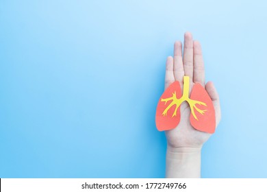 Pulmonary disease treatment and lung transplant concept. Human hands holding healthy lung shape made from paper on light blue background. Copy space. - Shutterstock ID 1772749766