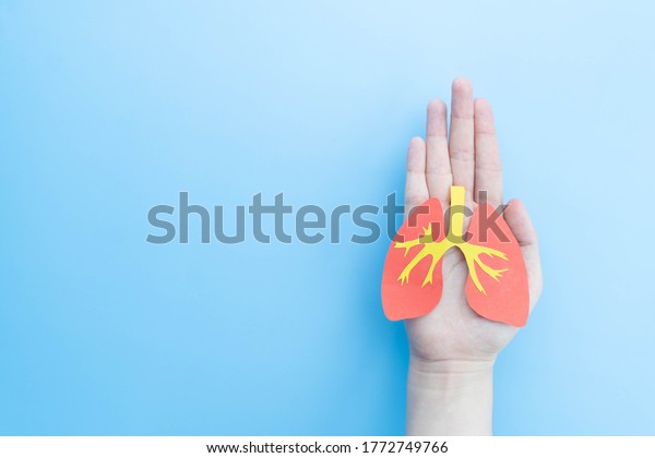 Pulmonary disease treatment and lung transplant\
concept. Human hands holding healthy lung shape made from paper on\
light blue background. Copy\
space.