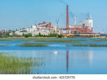 Pulp Mill