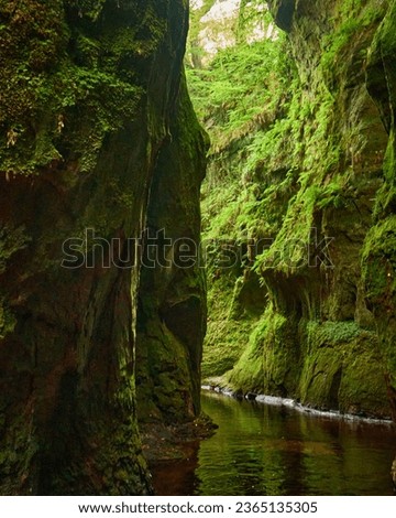 Devil’s Pulpit, Finnich Glen - a beautiful moss covered gorge in Scotland. Rocks, water, vegetation...