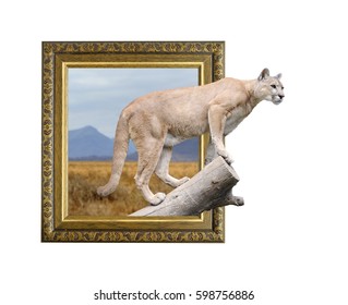 Download 3d Animal Painting High Res Stock Images Shutterstock