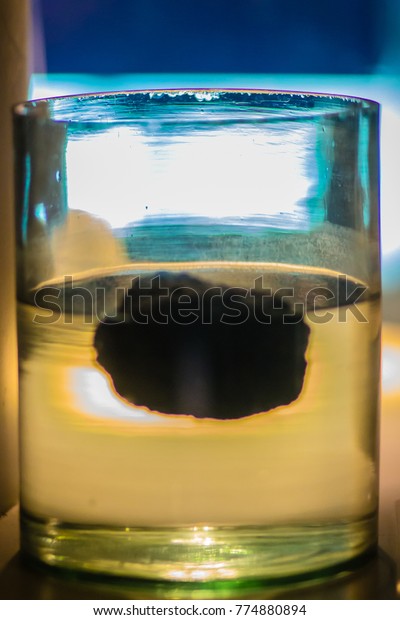 Pumice Stone Floating On Water Pumice Stock Photo 774880894 | Shutterstock