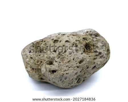 Pumice Stone Isolated in White Background. Pumice Is A Type Of Rock That Has Many Cavities. This Pumice Is Photographed From The Front.