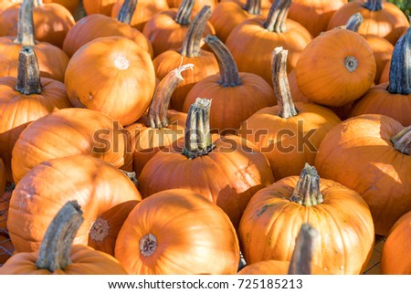 Pumkins