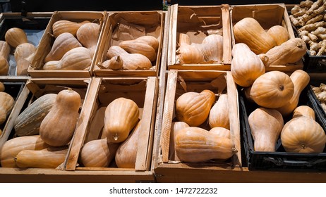 Pumkins harvest in market. Pumpkins of different varieties and sizes. Thanksgiving day. Autumn concept.