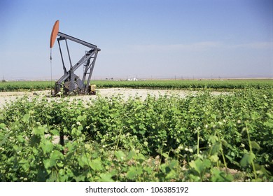 Pump Jack Oil Well In Field