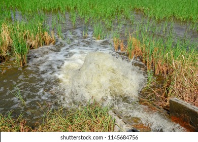 Pump Water Irrigation Rice Field Stock Photo 1145684756 | Shutterstock