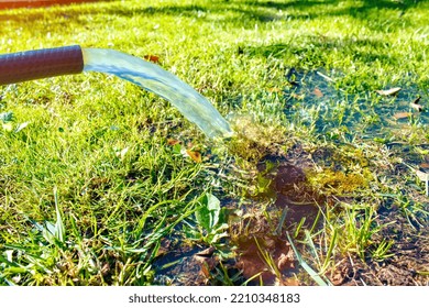 Pumping Out Excess Water From The Hose To The Lawn In The Garden