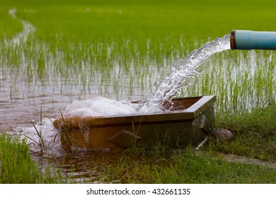 19,613 Farm pump Images, Stock Photos & Vectors | Shutterstock