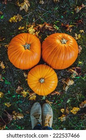 pumpkin
