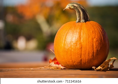 Pumpkin And Autumn Leaves On Picnic Table In The Fall. Colorful Autumn Foliage In The Background.