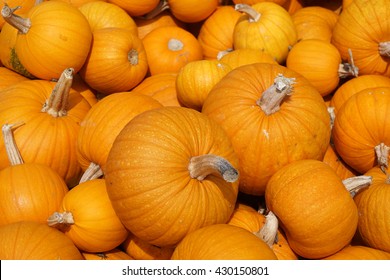 Pumpkin Background