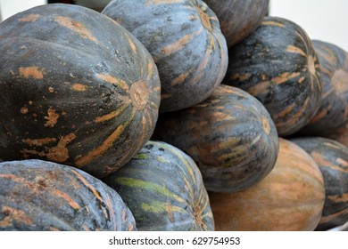 Pumpkin bench