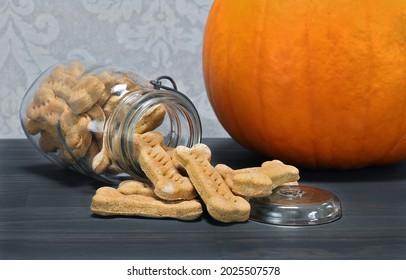 Pumpkin bone shaped dog cookies spilling onto a counter.  Pumpkin in back.