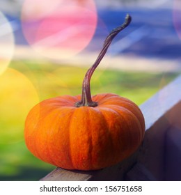 Pumpkin with bright background