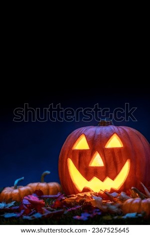 A pumpkin carved into a smiling Jack O Lantern sitting in the grass with small pumpkins and fallen leaves as a Halloween decoration. 