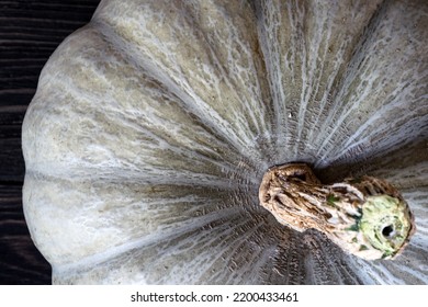 Pumpkin Close-up Background, Macro Top View. Whole Vegetable With Root, Raw Organic Food Indoor. Photo Of White Pumpkin, Nature Pattern. Concept Of Thanksgiving, Halloween, Squash, Plant, Still Life.