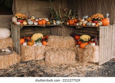 pumpkin decoration on hay stack and shelfs on farm