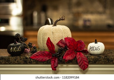 Pumpkin Decorations With Hocus Pocus Writing And Poinsetta For Fall Decorations And Halloween