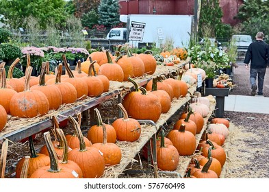 Pumpkin display