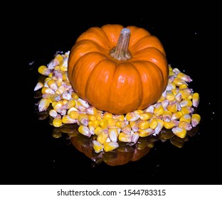 Pumpkin and dried up corn