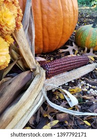 Pumpkin and dried corn, perfect for fall.