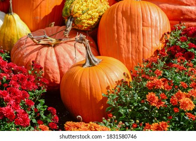 Pumpkin Fall Fest In Illinois