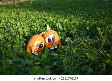 Pumpkin Family Photoshoot In My Backyard