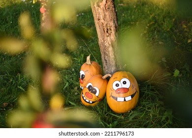 Pumpkin Family Photoshoot In My Backyard