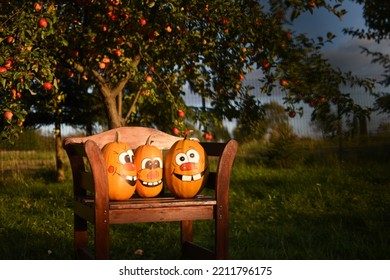 Pumpkin Family Photoshoot In My Backyard