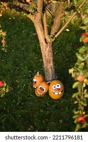 Pumpkin Family Photoshoot In My Backyard