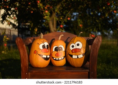 Pumpkin Family Photoshoot In My Backyard