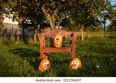 Pumpkin Family Photoshoot In My Backyard