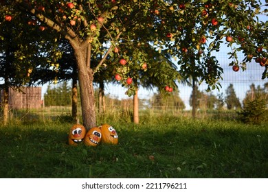 Pumpkin Family Photoshoot In My Backyard