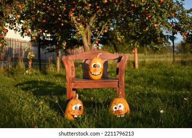 Pumpkin Family Photoshoot In My Backyard