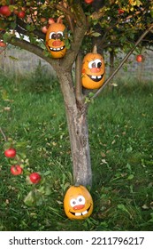 Pumpkin Family Photoshoot In My Backyard