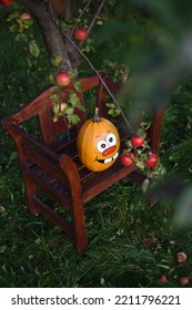 Pumpkin Family Photoshoot In My Backyard