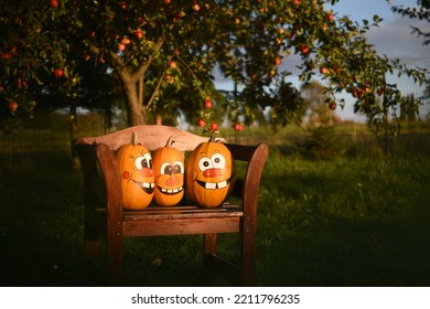 Pumpkin Family Photoshoot In My Backyard