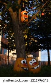 Pumpkin Family Photoshoot In My Backyard