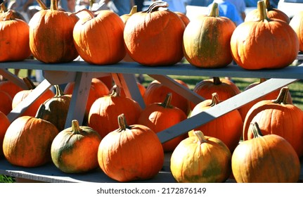 Pumpkin Farm Stand During Fall